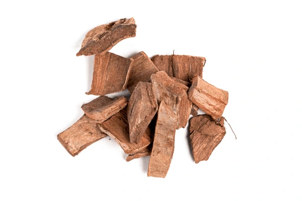 अर्जुन छाल के फायदे – हृदय स्वास्थ्य के लिए उपयोगी आयुर्वेदिक औषधि